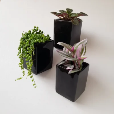 Three square shaped black wall pots with plants.